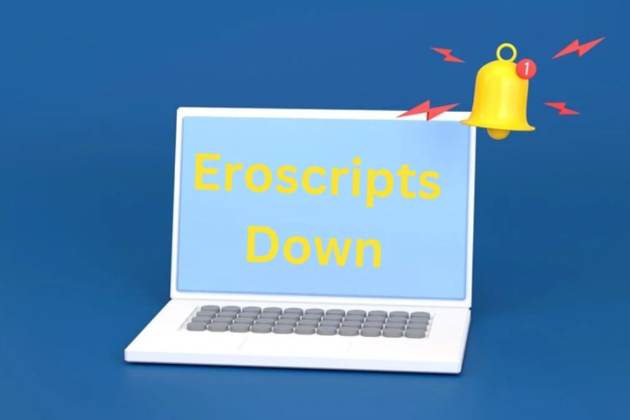 eroscripts down