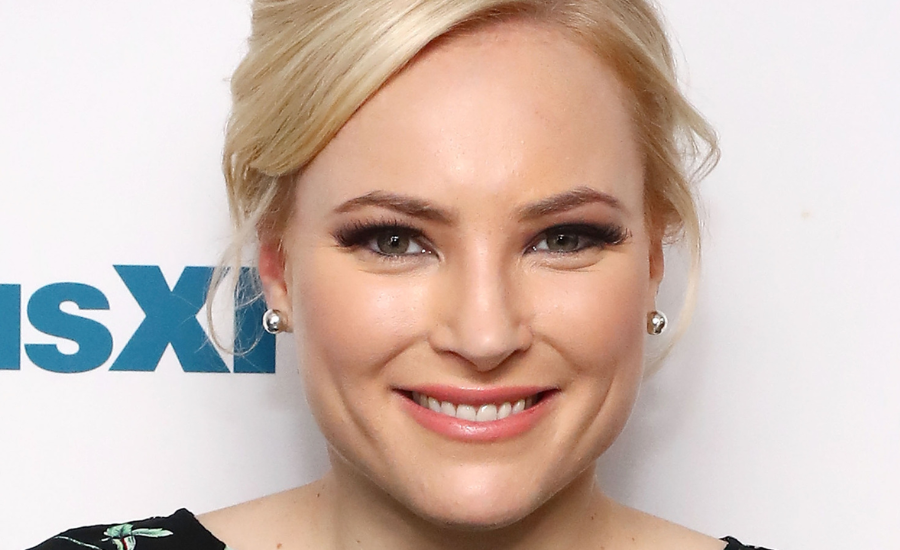 meghan mccain net worth